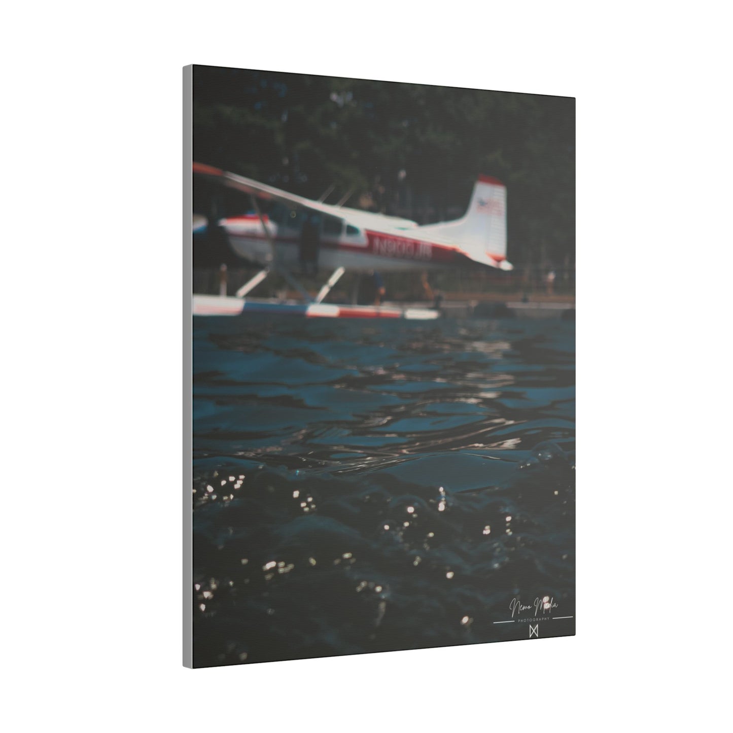 "Seaplane Dreams" on Matte Canvas, Stretched, 0.75"