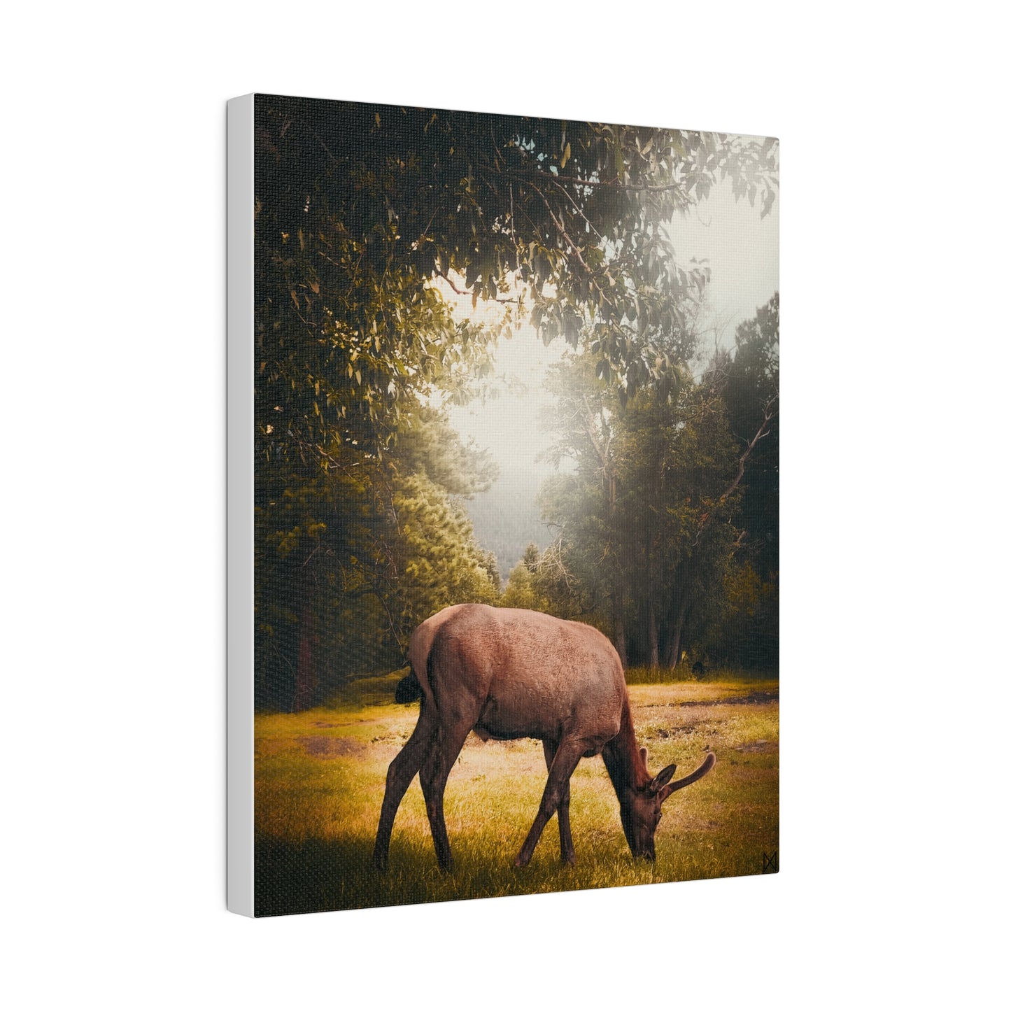 "Golden Hour Elk" on Matte Canvas, Stretched, 0.75"