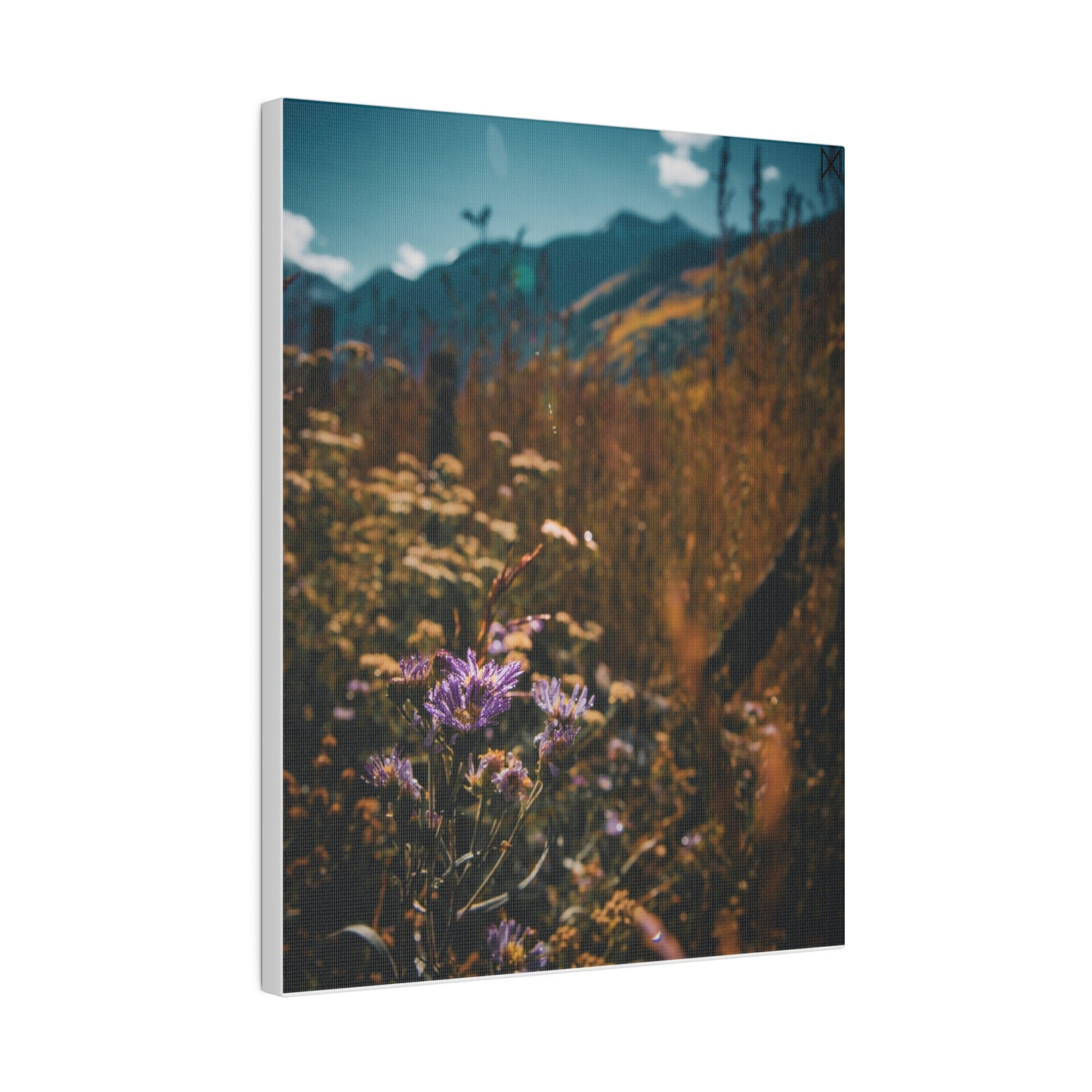 "Mountain Blooms in the Sunlight" on Matte Canvas, Stretched, 0.75"