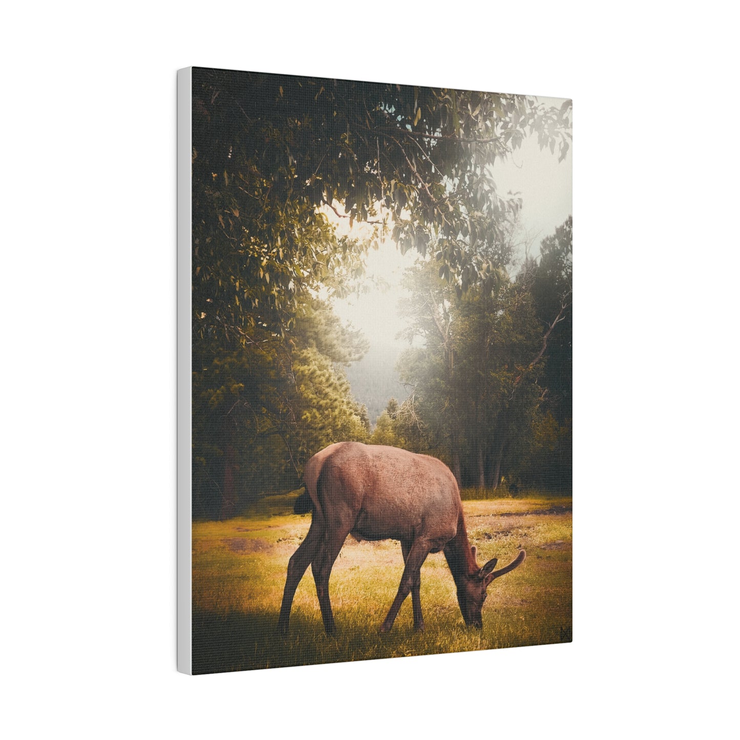 "Golden Hour Elk" on Matte Canvas, Stretched, 0.75"