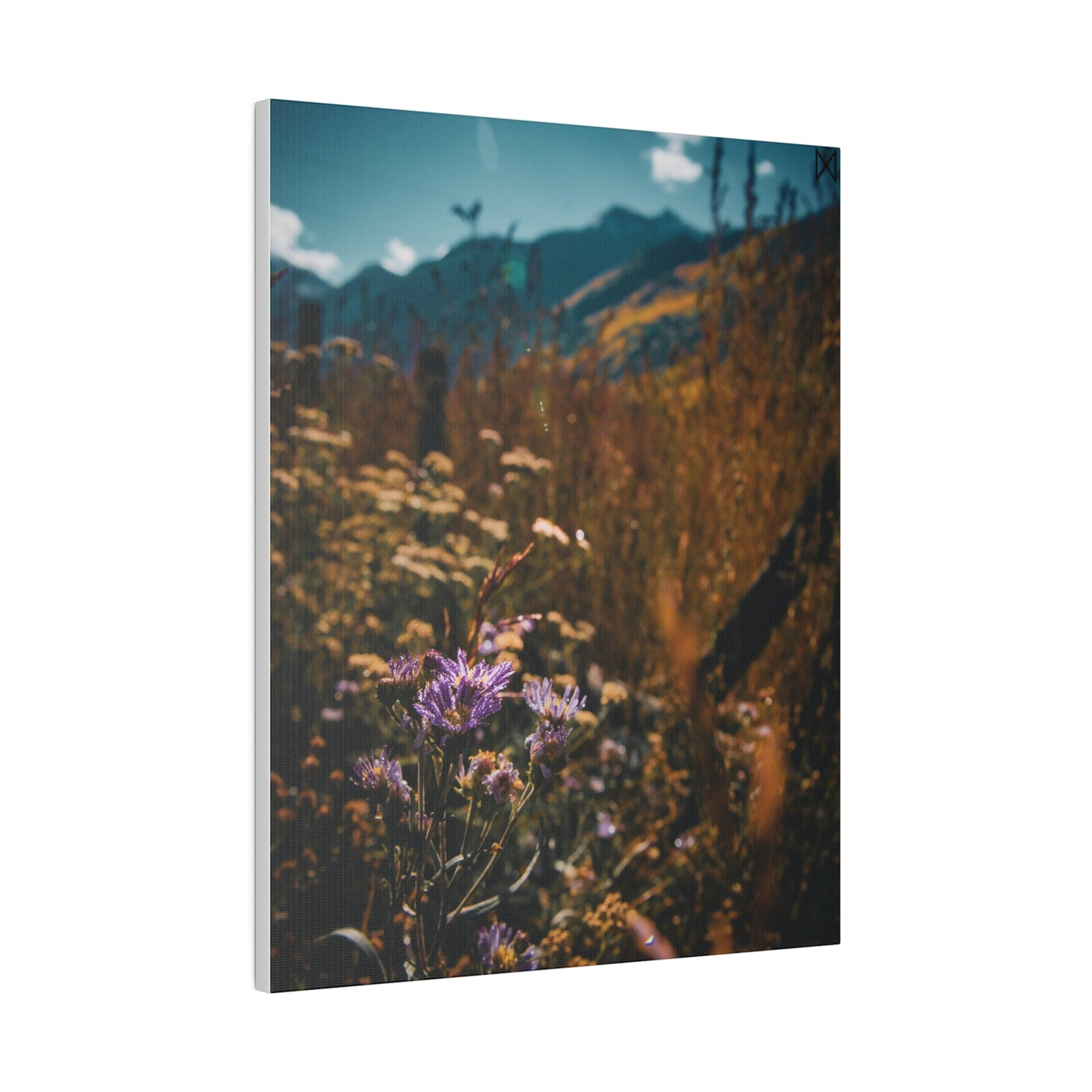 "Mountain Blooms in the Sunlight" on Matte Canvas, Stretched, 0.75"