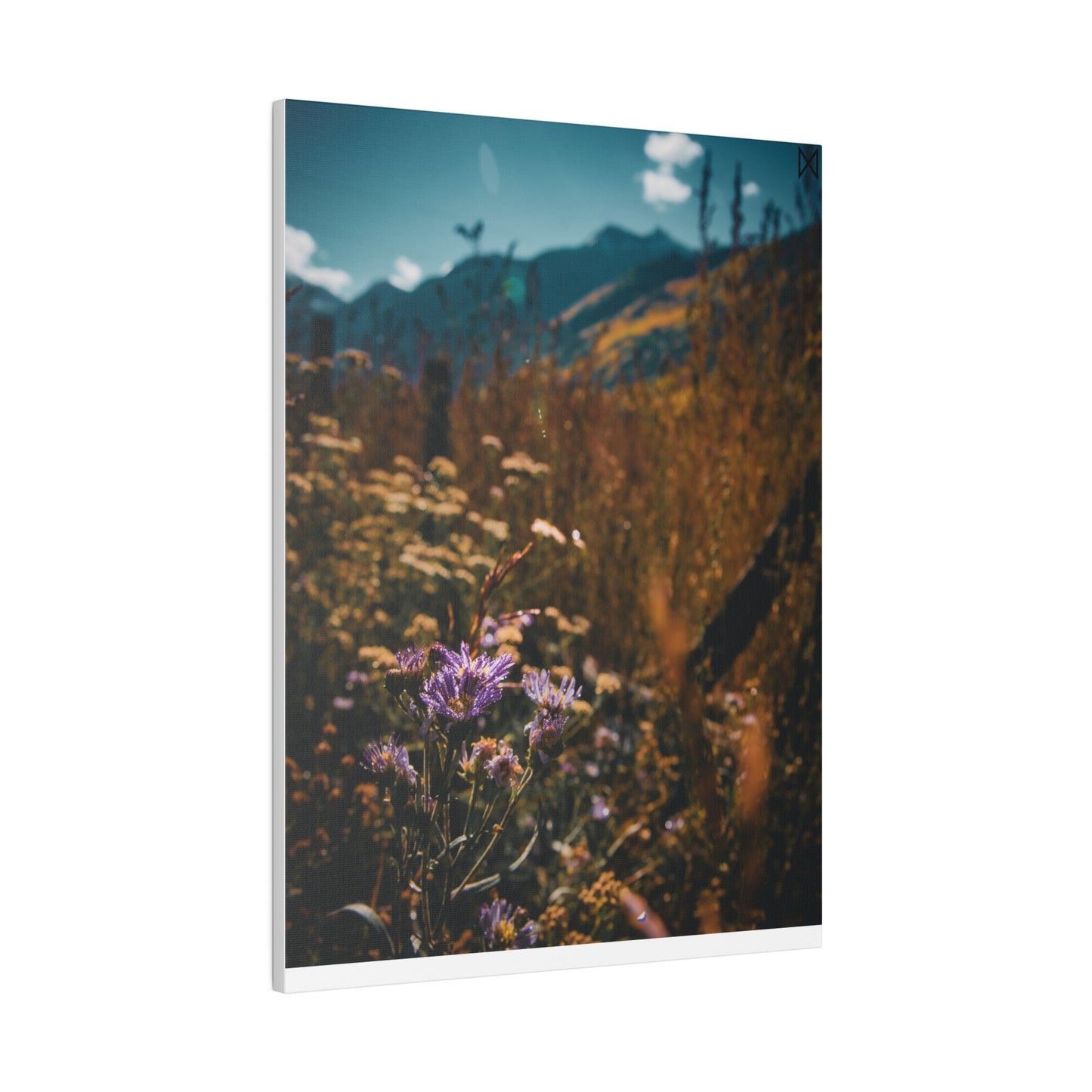 "Mountain Blooms in the Sunlight" on Matte Canvas, Stretched, 0.75"