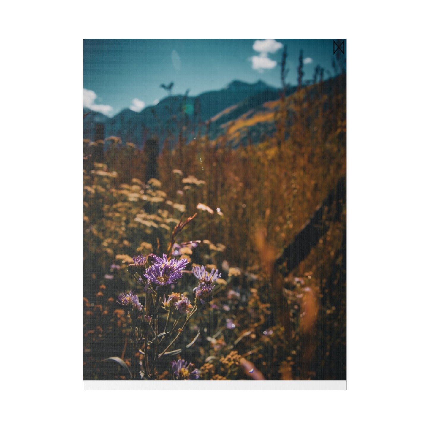 "Mountain Blooms in the Sunlight" on Matte Canvas, Stretched, 0.75"