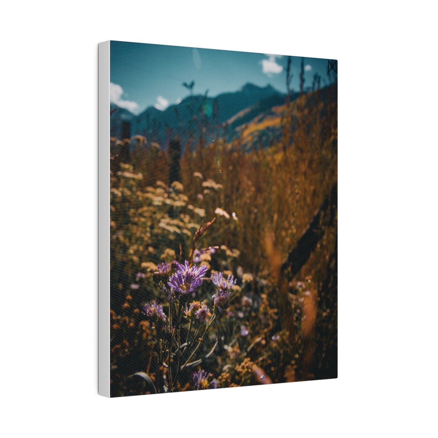 "Mountain Blooms in the Sunlight" on Matte Canvas, Stretched, 0.75"